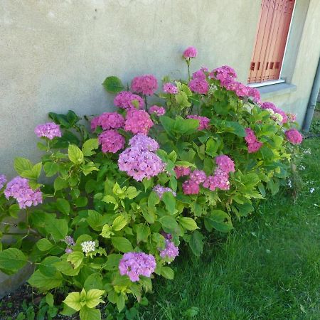 Maison Renovee Avec Cour Privee, Proche De Gannat, 3 Chambres, Animaux Acceptes, Equipements Modernes. - Fr-1-489-37 Poezat Luaran gambar