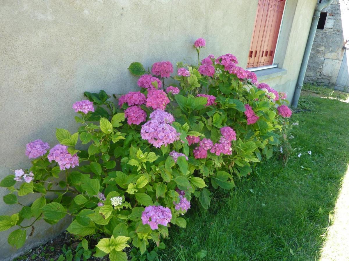 Maison Renovee Avec Cour Privee, Proche De Gannat, 3 Chambres, Animaux Acceptes, Equipements Modernes. - Fr-1-489-37 Poezat Luaran gambar